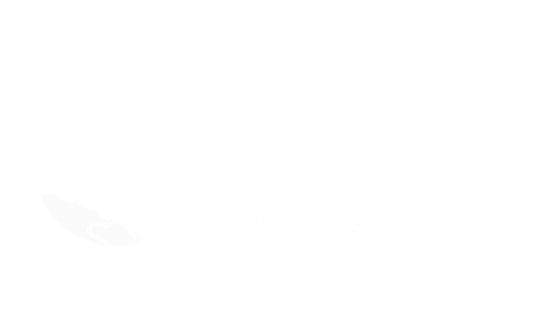 Trilha Corretora de Seguros